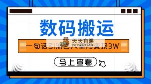只靠一句话引流方法千人转现3万？-暖阳网-优质付费教程和创业项目大全-天天有课网