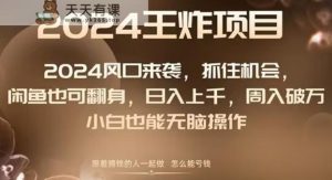 2024风口项目来袭,抓住机会,闲鱼也可翻身,日入上千,周入破万,小白也能无脑操作-天天有课网