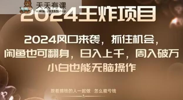 2024风口项目来袭，抓住机会，闲鱼也可翻身，日入上千，周入破万，小白也能无脑操作-天天有课网