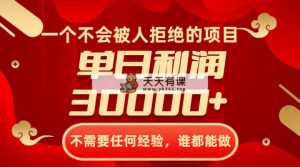 一个不会被人拒绝项目，无需任何工作经验，谁都可以做，单日盈利30000-暖阳网-优质付费教程和创业项目大全-天天有课网