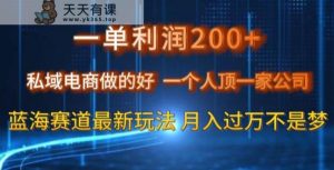 一单利润200私域电商做的好,一个人顶一家公司蓝海赛道最新玩法【揭秘】-天天有课网