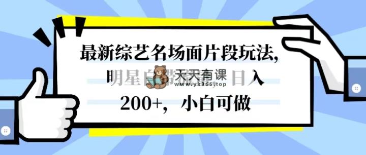 全新综艺名场面精彩片段游戏玩法，大牌明星自带光环，日入200 ，小白可做-暖阳网-优质付费教程和创业项目大全-天天有课网
