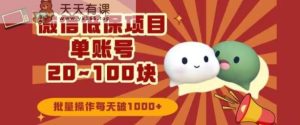 微信领低保单账号20元-100元，批量操作每天破1000+-天天有课网
