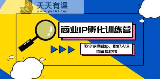 商业服务IP卵化夏令营新版本，手把手带你商业服务Ip，搞好人物关系，总流量做好钱-天天有课网