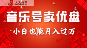 音乐号卖u盘，AE制做100%原创短视频，新手也可以月入了万-天天有课网