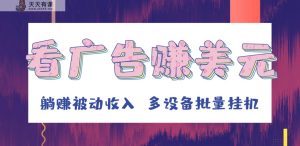 挂机看广告赚美元，可多设备批量挂机，躺赚被动收入-天天有课网