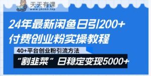 24年最新闲鱼日引200+付费创业粉，割韭菜每天5000+收益实操教程！-天天有课网