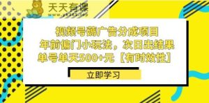 视频号薅广告分成项目，年前偏门小玩法，次日出结果，单号单天500+元【有时效性】-天天有课网