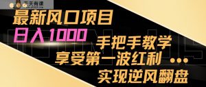 全新蓝海项目，日入1000，一对一教学，享有第一波收益，完成让二追三-天天有课网