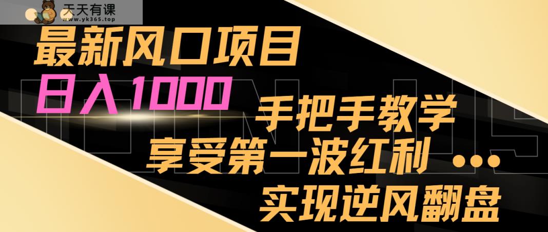 全新蓝海项目，日入1000，一对一教学，享有第一波收益，完成让二追三-天天有课网