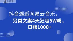 抖音视频偶遇网易音乐，极具特色创意文案4天狂吸5W粉，日赚1000-天天有课网