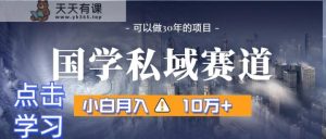 暴力行为国学经典公域跑道,新手月入10万 ,引流方法 转换一整套步骤-天天有课网