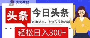 AI头条传统和农谚领域,蓝海类目,搬运+AI优化,轻松日入300+【揭秘】-天天有课网