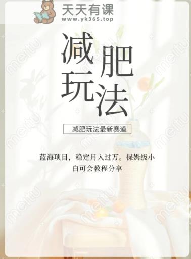 减肥流量主新玩法，轻松月入1W，可矩阵操作收入翻倍-天天有课网