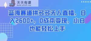 蓝海赛道拼多多无人直播，日入2600+，0成本变现，小白也能轻松上手【揭秘】-天天有课网