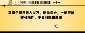靠搭子项目月入过万,流量很大,一部手机即可操作,小白闭眼也要做-天天有课网