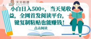 小白日入500+，当天见收益，全网首发阅读平台，一键复制粘贴也能赚钱！-天天有课网