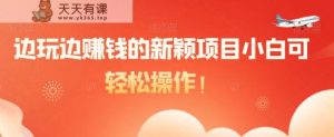 边玩边赚钱的新颖项目小白可轻松操作！-天天有课网