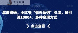 流量密码，小红书“每天系列”引流，日引流1000+，多种变现方式【揭秘】-天天有课网