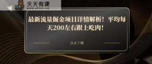 最新流量掘金项目详情解析！平均每天200左右跟上吃肉！-天天有课网