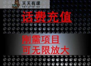 最新蓝海项目，刚需赛道，95折充话费月入5位数-天天有课网