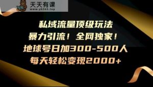暴力引流，全网独家，地球号日加300-500人，私域流量顶级玩法，每天轻松变现2000+-天天有课网