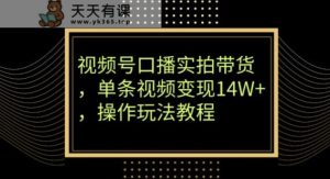 视频号口播实拍带货，单条视频变现14W+，操作玩法教程-天天有课网