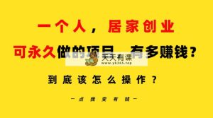 一个人，居家创业：B站每日10min，单账户日引自主创业粉100 ，月平稳转现5W…-天天有课网