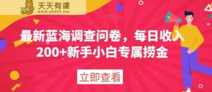 最新蓝海调查问卷，每日收入200+新手小白专属捞金-天天有课网