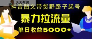 抖音图文带货暴力起号,单日收益5000+,野路子玩法,简单易上手,一部手机即可【揭秘】-天天有课网