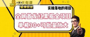 全网首发红果免费短剧掘金项目，单机30+可批量放大【揭秘】-天天有课网