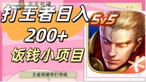 打王者日入200+，饭钱小项目，王者荣耀带打带练-天天有课网