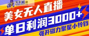快手挂机，美女无人直播，强开磁力聚星小铃铛，日入3000+-天天有课网