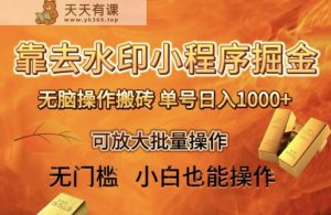 靠去水印小程序无脑操作搬砖，单号日入1000+保姆级教程可放大批量操作【揭秘】-天天有课网