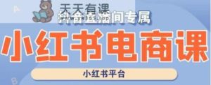 小红书电商高级运营课程，实操教学+案例分析-天天有课网