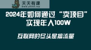 2024年怎样通过“卖项目”完成年收入100W-天天有课网