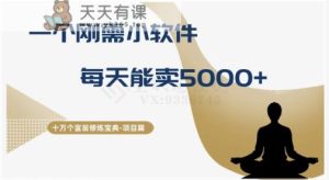 十万个富翁修炼宝典之17.一个刚需小软件，每天能卖5000+-天天有课网