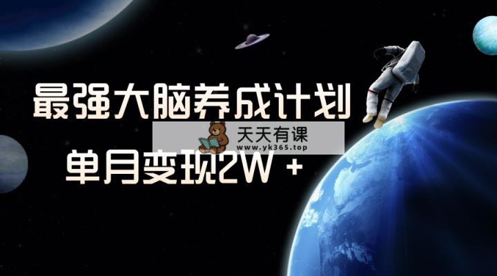 小众虚拟资源项目，超强大脑养成计划，一个月转现2W＋-暖阳网-优质付费教程和创业项目大全-天天有课网