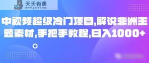 中视频非常蓝海项目，讲解非州主题素材，从零实例教程，日入1000-天天有课网