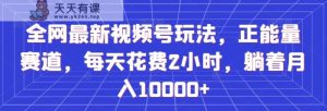 全网最新视频号玩法，正能量赛道，每天花费2小时，躺着月入10000+【揭秘】-天天有课网