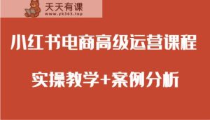 小红书电商高端营销课程 实际操作课堂教学 经典案例-天天有课网