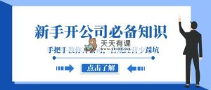 初学者-成立公司必备知识，教你如何成立公司，合规管理少踩雷-暖阳网-优质付费教程和创业项目大全-天天有课网