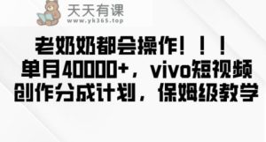 老奶奶都会操作，新平台无脑操作，单月40000+，vivo短视频创作分成计划【揭秘】-天天有课网