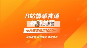 蓝海项目，B站情绪跑道——教聊天的技巧，小白都能一天解决1000-暖阳网-优质付费教程和创业项目大全-天天有课网