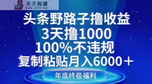 今日头条歪门邪道撸盈利，3天撸1000，100%不违规，拷贝月收入6000＋-天天有课网