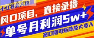 风口项目,小红书无人直播带货,直接录播,可矩阵,月入5w+【揭秘】-天天有课网