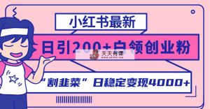 小红书的全新日引200 自主创业粉”当韭菜割“日平稳转现4000 实际操作实例教程！-暖阳网-优质付费教程和创业项目大全-天天有课网