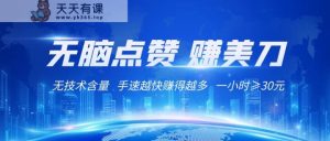 国外网站点赞赚美刀   无技术含量    小白无脑操作    1小时收益≥30元-天天有课网
