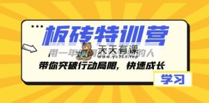 砖头夏令营，用一年时间变成专业人，陪你突破行动局限性，快速增长-暖阳网-优质付费教程和创业项目大全-天天有课网