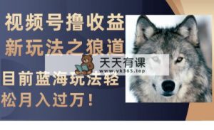微信视频号撸盈利新模式之狼性法则，现阶段瀚海游戏玩法轻轻松松月入了万！-暖阳网-优质付费教程和创业项目大全-天天有课网